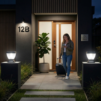 Nexi Solar Pillar Light Moon Design, 3 Colours