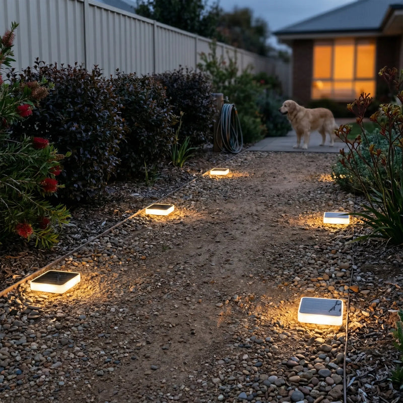 A dog walks along a gravel path in a backyard at dusk, illuminated by several small rectangular solar ground lights embedded in the ground.