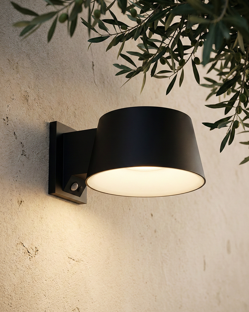 Leo Motion Sensor Solar Wall Light, Outdoor
