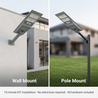 A split comparison showing two mounting styles for a solar outdoor light: wall mount on the left and pole mount on the right. The left panel shows the light mounted on a building exterior, and the right panel shows it on a grassy lawn.