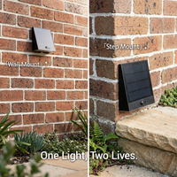 Taurus Solar Wall & Step Light, Dual Mount