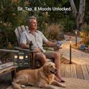 Solar Mushroom Pathway Light, 8 Modes with Remote