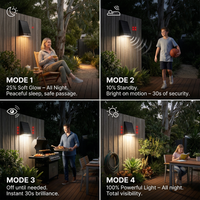 Taurus Solar Wall & Step Light, Dual Mount