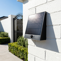 Taurus Solar Wall & Step Light, Dual Mount