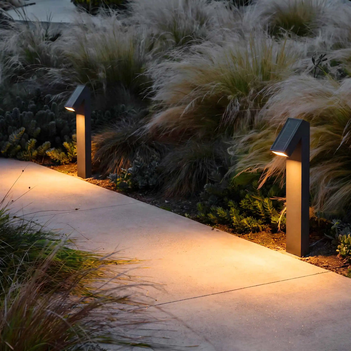 PT0723 solar pathway lights providing warm downward lighting along a landscaped garden walkway
