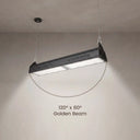 A black rectangular hanging LED grow light suspended from a ceiling, shown casting light downward with a dotted arc and the text '120° x 60° Golden Beam' on a plain wall.