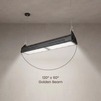 A black rectangular hanging LED grow light suspended from a ceiling, shown casting light downward with a dotted arc and the text '120° x 60° Golden Beam' on a plain wall.